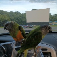 Cory Moyer CDM, CFFP, CEC