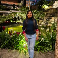 Ca Asha Hegde