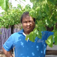 Satyendra Sahu