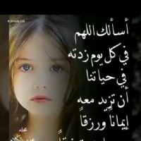 مهند العراقي