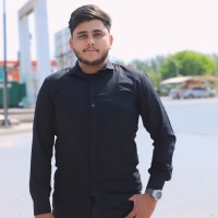 Muhammad Taimour bhatti