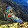 Mahesh Patal