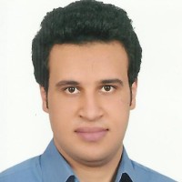 Mahmoud Elkholy