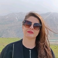 mina khani