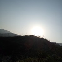 叶沈军
