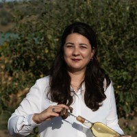 Ana Maria Toader