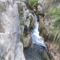 veronica villa garcia