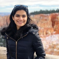 Dhriti V.
