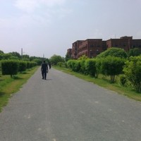 Talha Asif