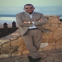 Hany Mohamed Ali