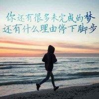 张占昆