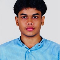 Vipin Krishna C U
