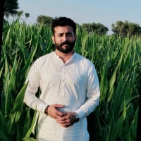 Basitullah Aman