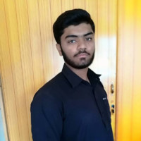 Malik Faizan