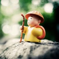 刘东亮