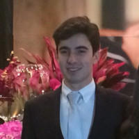 André Arantes de Carvalho Borges