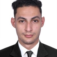 Ramy Elhagry