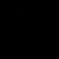 G S