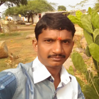 Neeli Rajesh
