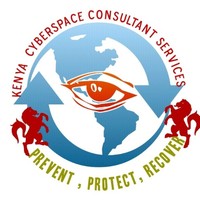 Kenya Cyberspace Consultant Services