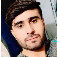 Abdul Wali - Web Developer