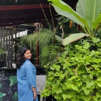 Sushmitha T M