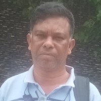 Muhammad Shafiqul Islam