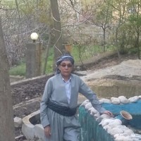 Musheer Rashid