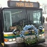 Daryl Ellis