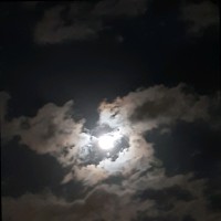 بندر سليمان