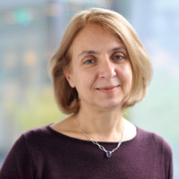 Anke Hassel