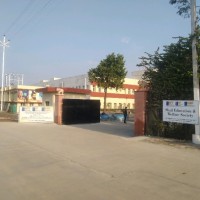Chandan Thakur