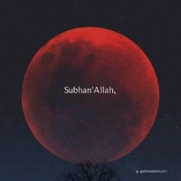 Sunbal Noreen