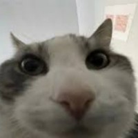 A A