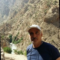 Masood Shahbazi