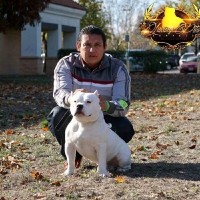 Carlos Diaz
