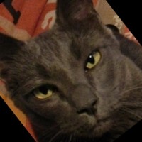 Philippe. Roux