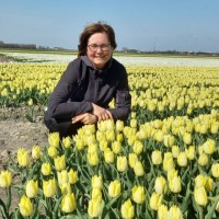 nancy goossens