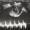 David Leonardo Ballesteros Jaramillo