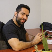 arash karimi