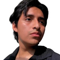 Renzo Tello Flores