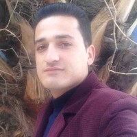 Niazi Hadi