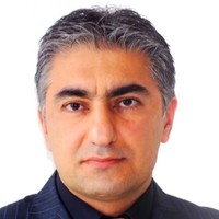 Mohammad H. Janalizadeh