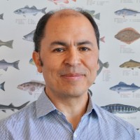 Rodrigo Barrera