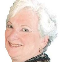 Terry Levinson