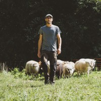 NICOLAS LEFEBURE