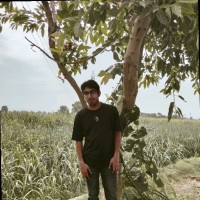 Shourya Tomar
