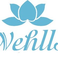 aparatos de estetica wehlls
