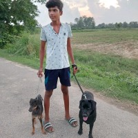 Atharv Yadav