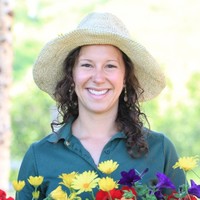Allison Mecklenburg